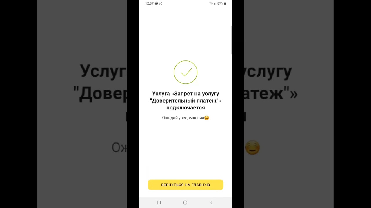 Как отменить обещанный платеж в компании Билайн