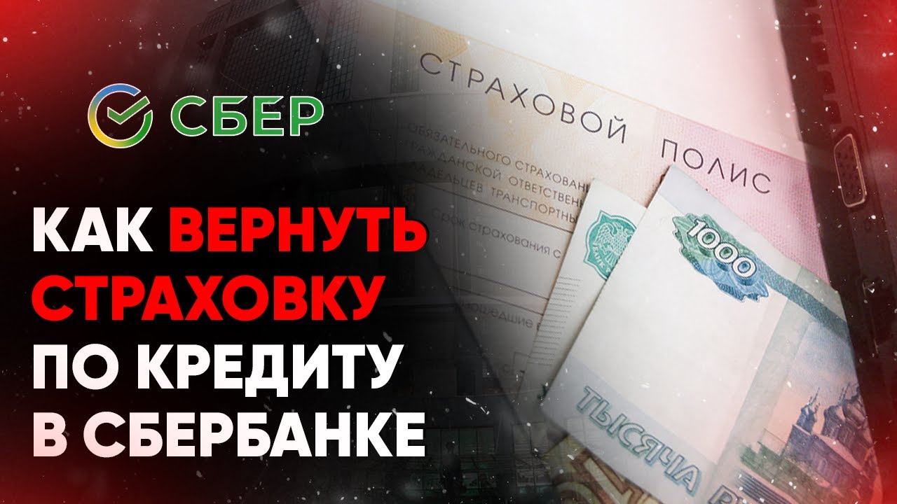 Как вернуть страховку по кредиту в Сбербанке – отзывы и рекомендации
